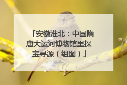 安徽淮北：中国隋唐大运河博物馆里探宝寻源（组图）
