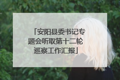 安阳县委书记专题会听取第十二轮巡察工作汇报