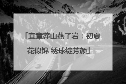 宜章莽山燕子岩：初夏花似锦 绣球绽芳颜