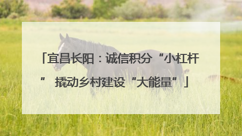 宜昌长阳：诚信积分“小杠杆” 撬动乡村建设“大能量”