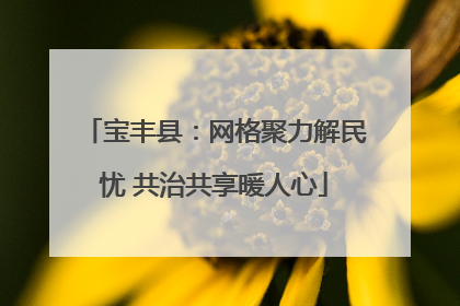 宝丰县：网格聚力解民忧 共治共享暖人心