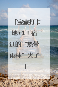 宝藏打卡地+1！宿迁的“热带雨林”火了