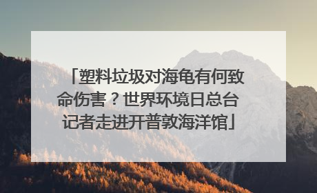 塑料垃圾对海龟有何致命伤害？世界环境日总台记者走进开普敦海洋馆
