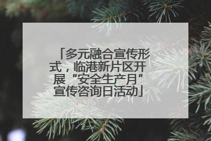 多元融合宣传形式，临港新片区开展“安全生产月”宣传咨询日活动