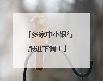 多家中小银行跟进下调！