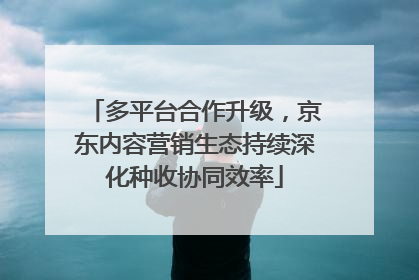 多平台合作升级，京东内容营销生态持续深化种收协同效率