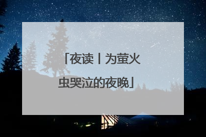 夜读丨为萤火虫哭泣的夜晚