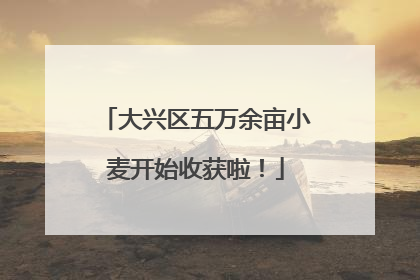 大兴区五万余亩小麦开始收获啦！