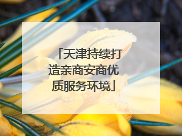天津持续打造亲商安商优质服务环境