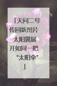 天问二号传回新图片 太阳翼展开如同一把“太阳伞”