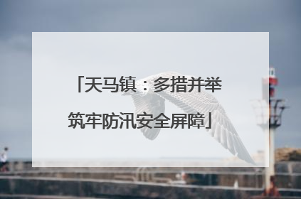 天马镇：多措并举筑牢防汛安全屏障