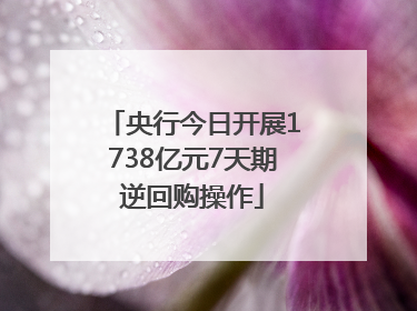央行今日开展1738亿元7天期逆回购操作