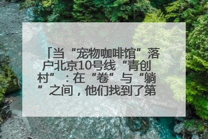 当“宠物咖啡馆”落户北京10号线“青创村”：在“卷”与“躺”之间，他们找到了第三种生活公式