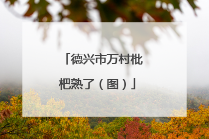 德兴市万村枇杷熟了（图）