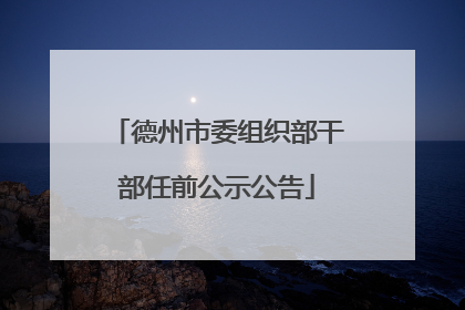 德州市委组织部干部任前公示公告