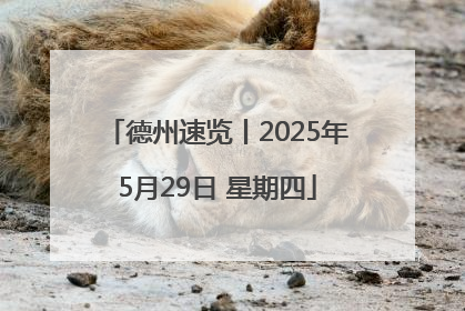 德州速览丨2025年5月29日 星期四
