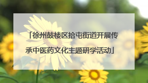 徐州鼓楼区拾屯街道开展传承中医药文化主题研学活动