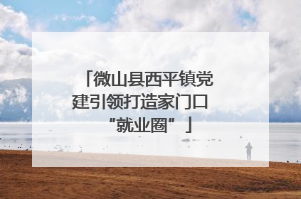 微山县西平镇党建引领打造家门口“就业圈”