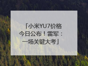 小米YU7价格今日公布！雷军：一场关键大考