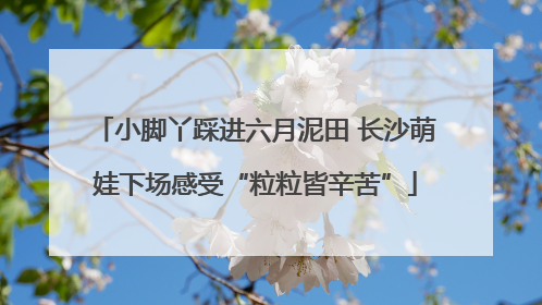 小脚丫踩进六月泥田 长沙萌娃下场感受“粒粒皆辛苦”