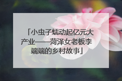 小虫子蠕动起亿元大产业——菏泽女老板李端端的乡村故事
