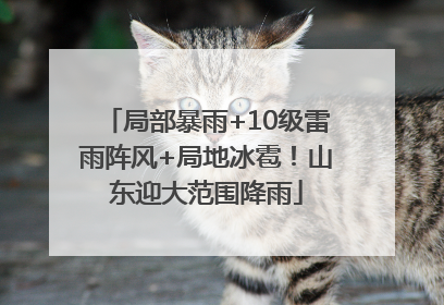 局部暴雨+10级雷雨阵风+局地冰雹！山东迎大范围降雨