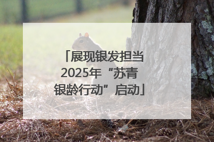 展现银发担当 2025年“苏青银龄行动”启动
