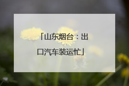 山东烟台：出口汽车装运忙