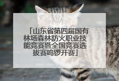 山东省第四届国有林场森林防火职业技能竞赛暨全国竞赛选拔赛鸣锣开赛
