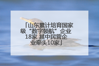 山东累计培育国家级“数字领航”企业18家 其中民营企业牵头10家