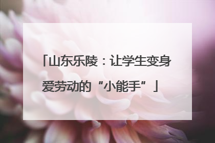 山东乐陵：让学生变身爱劳动的“小能手”