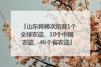 山东将梯次培育1个全球农遗、10个中国农遗、46个省农遗