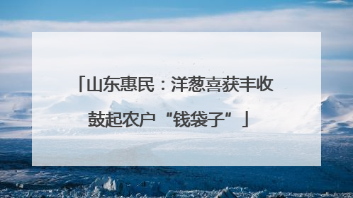 山东惠民：洋葱喜获丰收 鼓起农户“钱袋子”