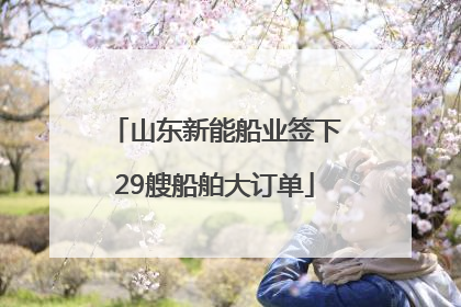 山东新能船业签下29艘船舶大订单
