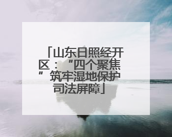 山东日照经开区：“四个聚焦”筑牢湿地保护司法屏障