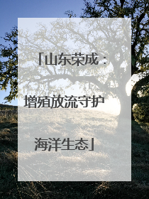 山东荣成：增殖放流守护海洋生态