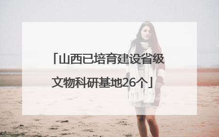 山西已培育建设省级文物科研基地26个