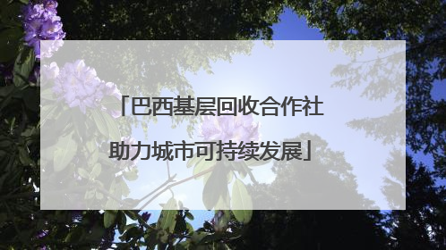 巴西基层回收合作社助力城市可持续发展