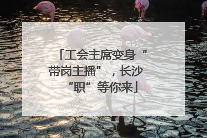 工会主席变身“带岗主播”，长沙“职”等你来