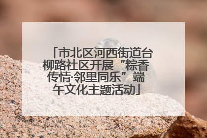 市北区河西街道台柳路社区开展“粽香传情·邻里同乐”端午文化主题活动