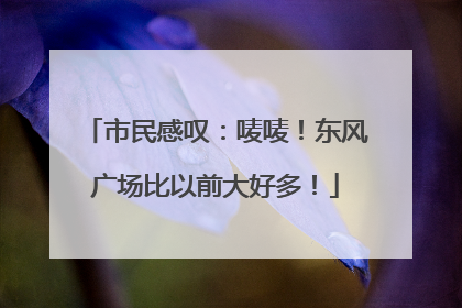 市民感叹：唛唛！东风广场比以前大好多！