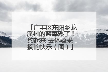广丰区东阳乡龙溪村的蓝莓熟了！约起来 去体验采摘的快乐（图）