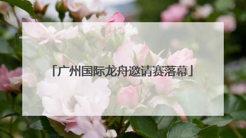 广州国际龙舟邀请赛落幕
