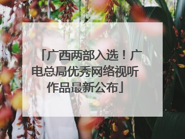 广西两部入选！广电总局优秀网络视听作品最新公布