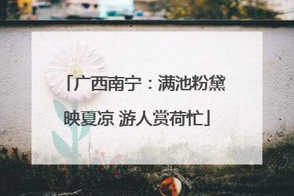 广西南宁：满池粉黛映夏凉 游人赏荷忙