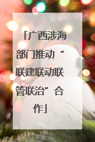 广西涉海部门推动“联建联动联管联治”合作