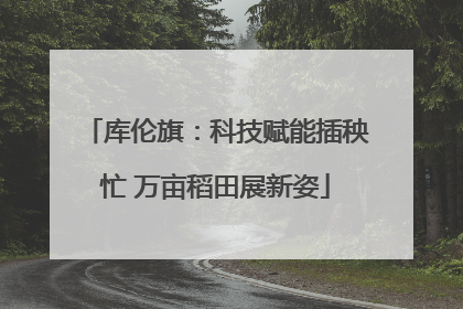 库伦旗：科技赋能插秧忙 万亩稻田展新姿