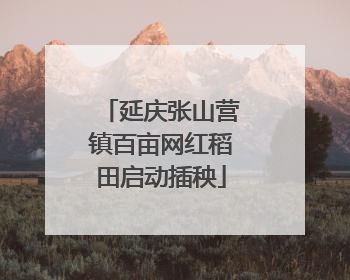 延庆张山营镇百亩网红稻田启动插秧
