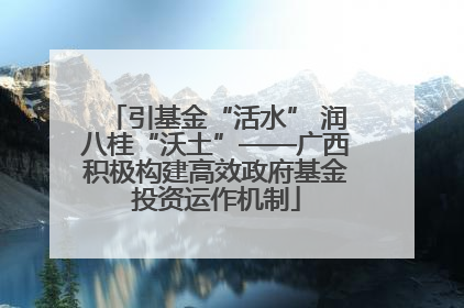 引基金“活水” 润八桂“沃土”——广西积极构建高效政府基金投资运作机制