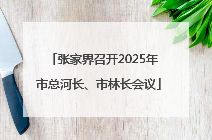 张家界召开2025年市总河长、市林长会议